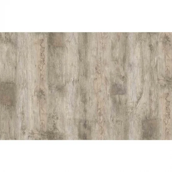 Kastаmonu Floorpan Sunfloor Ясень Вирджиния SF 51